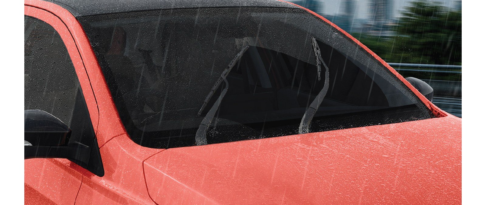 Tata Tiago, in the rain