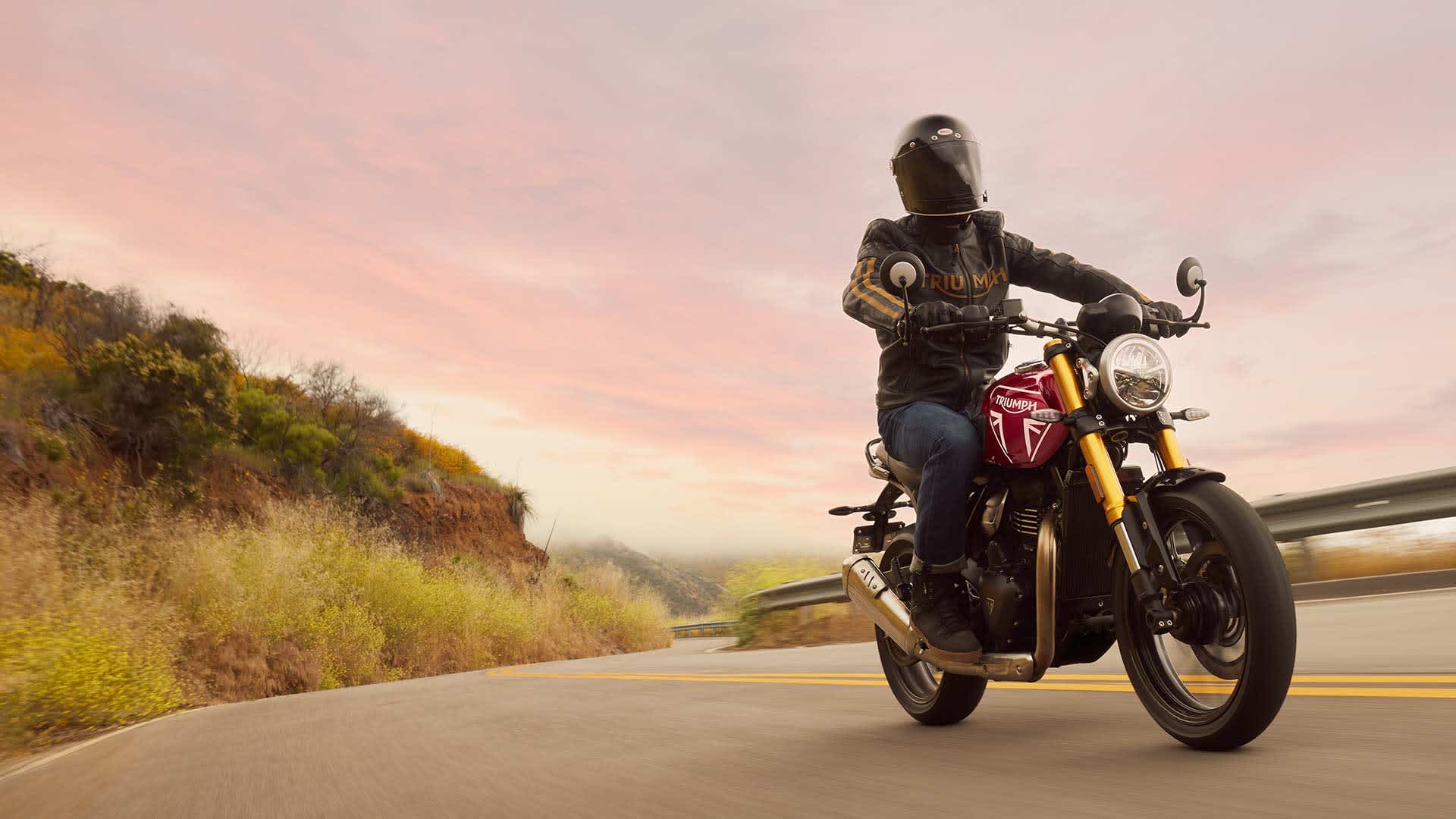 Triumph Speed 400 motorcycle