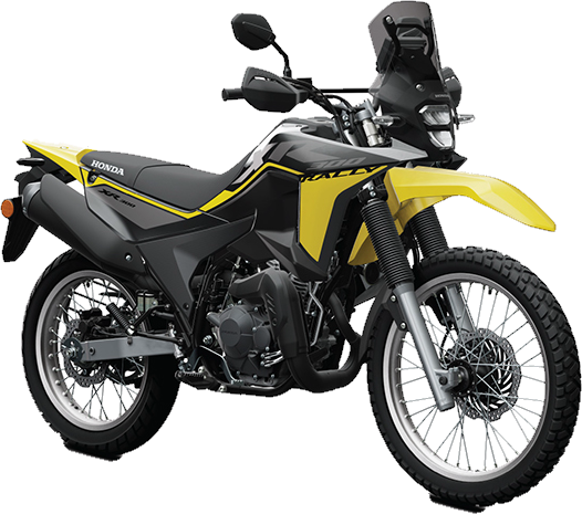 Honda XR300 Rally in True Black