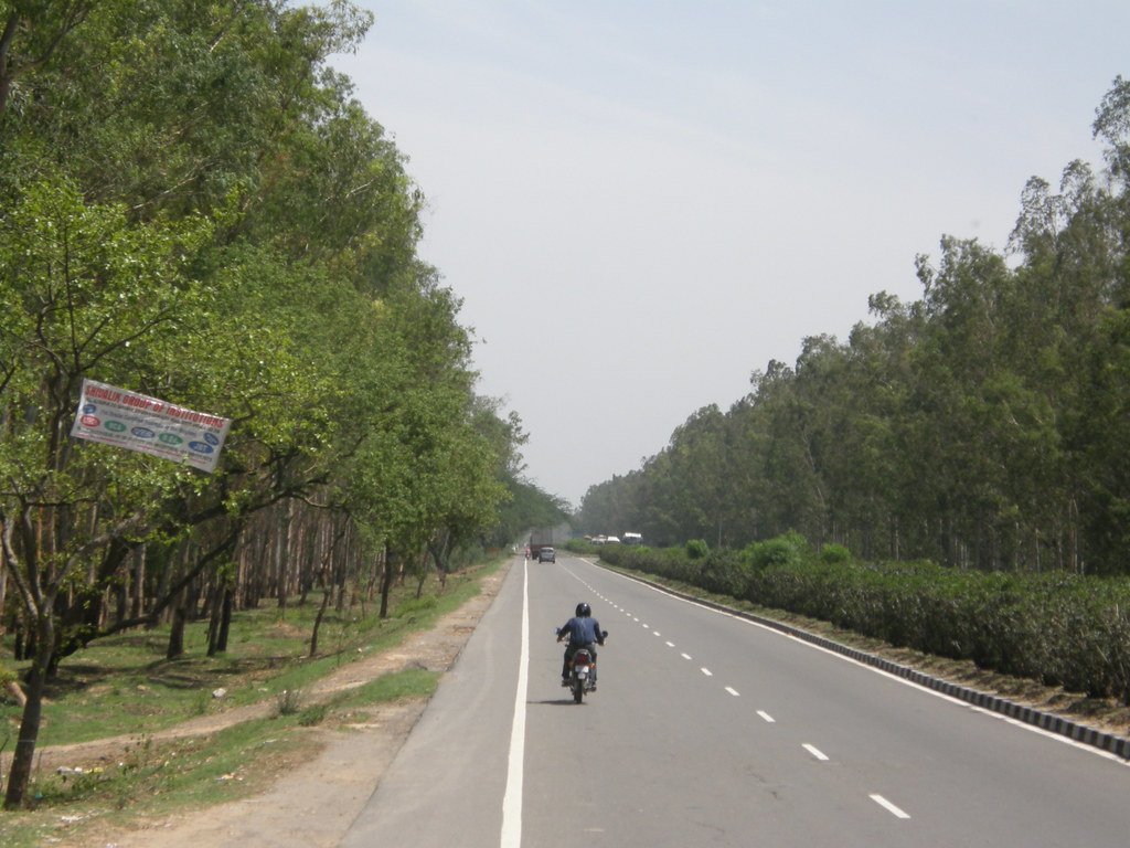 Motorcyclist riding on an Indian national highway lined with trees