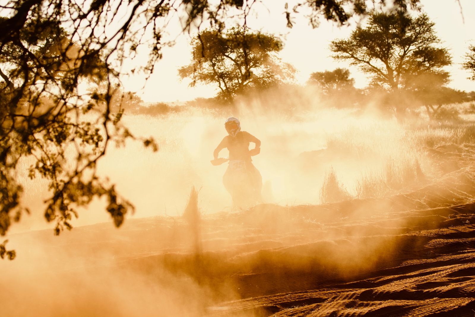 Rally raid motorcycle rider in desert dust and sunset light